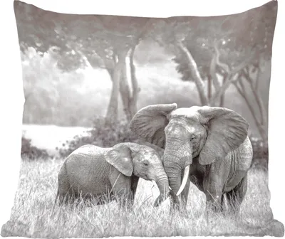 Produktbild von MuchoWow® Zierkissen Sofakissen Wohnzimmer Dekokissen 50x50 cm Elefant - Tiere - Natur - Schwarz und weiß - Komfort - Sofakissen