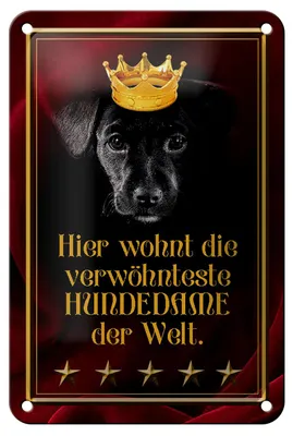 Produktbild von Blechschild Spruch 12x18cm hier wohnt Hundedame der Welt
