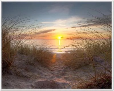Produktbild von Wallario Wandbild Sonnenuntergang am Strand, Größe: 40,30 x 50,30 cm, Poster mit weißem Aluminiumrahmen