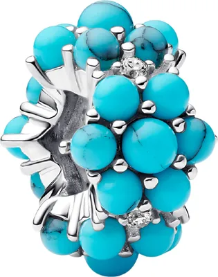 A close-up studio shot of a Pandora charm.