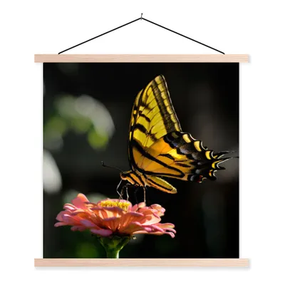 Produktbild von MuchoWow® Textilposter Schmetterling - Botanisch - Blume 120x120 cm mit holzfarbenen Rahmen - Textil-Poster