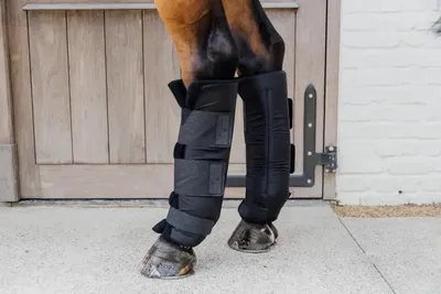 Image de Kentucky Horsewear Guêtres d'écurie PROtect Classic Arrière