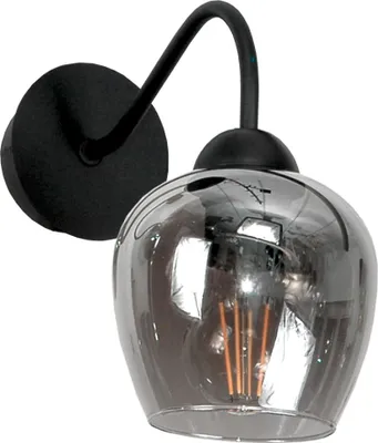 Immagine prodotto di Lampada da parete di design nera con vetro grafite E27