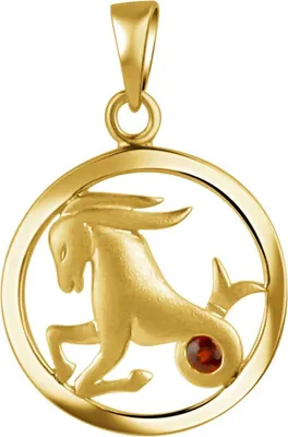 Produktbild von Damen Anhänger 925 Sterling Silber Steinbock Monatsstein
