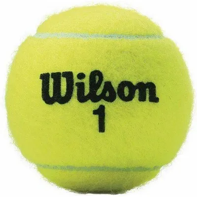 Produktbild von Wilson - "Championship Extra Duty" Tennisbälle  3er-Pack PP6201 (Einheitsgröße) (Gelb)