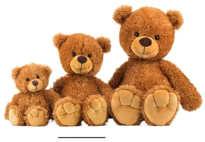 Zdjęcie produktu dla Schaffer pluszowy miś Tom 28 cm
