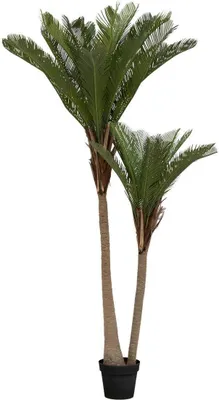 Produktbild von Künstliche palme 2 stämme h180cm grün - Atmosphera créateur d'intérieur