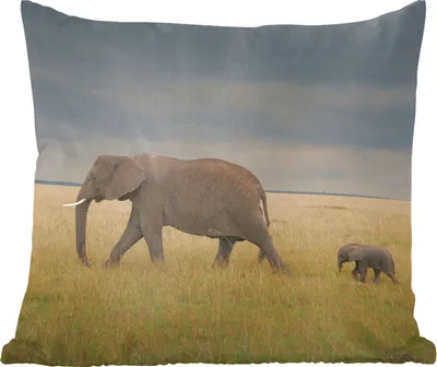 Produktbild von MuchoWow® Zierkissen Sofakissen Wohnzimmer Dekokissen 50x50 cm Elefant - Savanne - Tiere - Natur - Komfort - Sofakissen