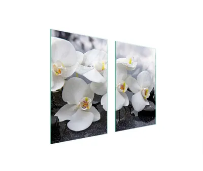 Produktbild von Herdabdeckplatten 2 teilig 75x52 Glaskeramikkochfeld Abdeckung Glas Schneidebrett Orchidee Weiß
