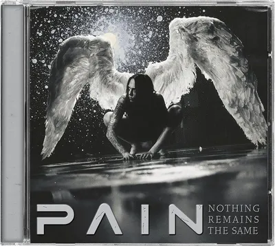Obrázek produktu pro Pain: Nothing Remains The Same