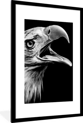 Produktbild von MuchoWow® Gerahmtes Poster Adler - Porträt - Raubvögel - Schwarz - Weiß - Vogel 60x90 cm - Poster mit Schwarzem Bilderrahmen Wandposter Rahmen Foto Bilder - Dekoration - Wandposter Wohnzimmer - Hochwertig