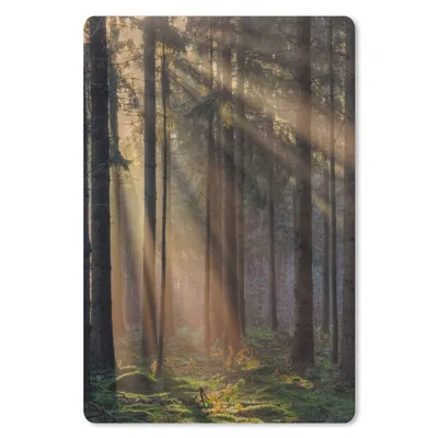 Produktbild von MuchoWow® Mauspad Mousepad Bäume - Wald - Sonne - Pflanzen 18x27 cm - Mousepads - Maus Mat - Pad - Mausunterlage