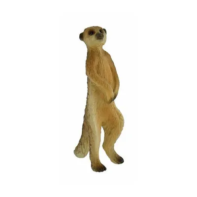 Obrázok produktu pre Surikata
