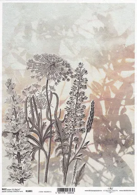Image de ITD Papier de riz découpage Papier de bricolage Technique de la serviette R1881 Fleurs, prairie