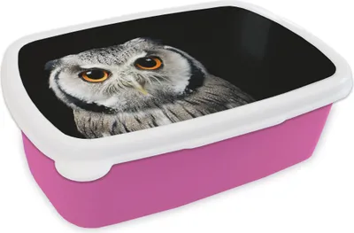 Produktbild von KitchenYeah® Lunchbox Brotzeit Brotdose 17x11 cm Nahaufnahme Eule Kinder Brotzeitdose - Lunchpaket - Brotkasten  - Sandwich Box