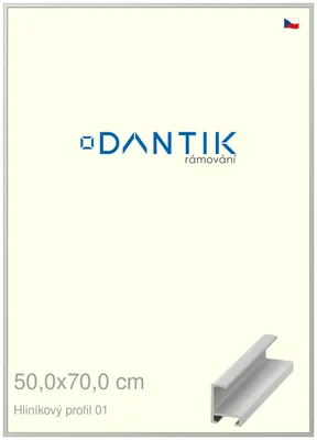 Zdjęcie produktu dla Rama DANTIK 50x70 | Profil ALU 6001 Srebrny mat (Plexi Clear)