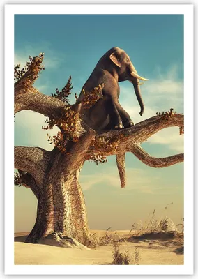 Produktbild von Poster - Poster ohne Rahmen - Sitzen Elefant Baum - 70x100 cm - Wand Bild - Wanddeko - Wandbilder - Kunstposter - Wandposter - Bilder - Kunstdruck - Wanddekoration - Wandbild - P2XPA70x100-4345
