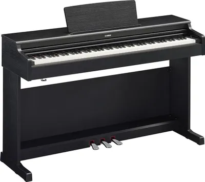 Image de Yamaha YDP-165 B