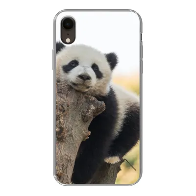 Produktbild von MuchoWow® Handyhülle Schutzhülle Hülle für iPhone XR Panda - Baum - Licht Silikon Softcase Handy Hülle - Schutzdeckel