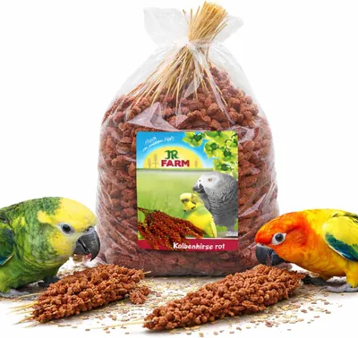 Zdjęcie produktu dla JR FARM Spray Millet red- proso czerwone w kłosach 1kg