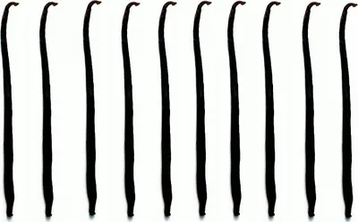 Obrázok produktu pre Vanilkové struky 10 ks 10-14 cm Vanilkové struky Vanilkové struky KVALITA 1