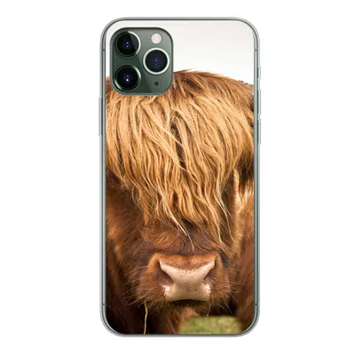 Produktbild von MuchoWow® Handyhülle Schutzhülle Hülle für iPhone 11 Pro Schottische Highlander - Braun - Gras Silikon Softcase Handy Hülle - Handy