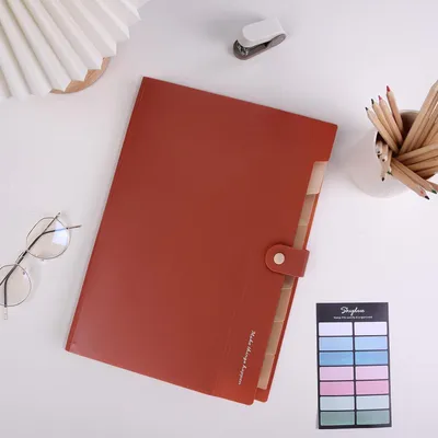 Imagen del producto de Organizador de documentos A4, ampliable, con 8 compartimentos, ideal para el hogar y la escuela