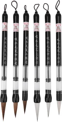 Image de 6 stylos pinceaux chinois à piston pour s'entraîner à la calligraphie sur du tissu à écrire sur l'eau