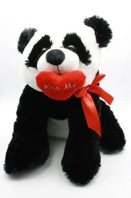 Produktbild von Panda mit Herz Kiss me und Schleife Bär 39 cm Kuscheltier Teddybär Teddy