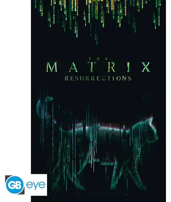 Produktbild von Poster The Matrix Cat 61x91.5cm