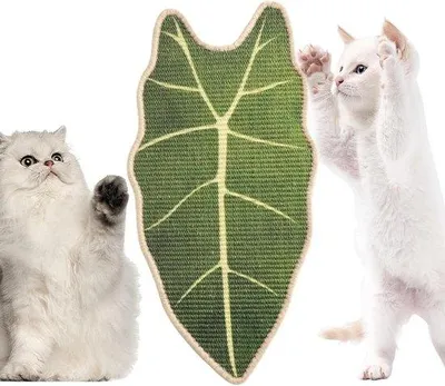Productafbeelding van Katten Krabmat - Wandkrabber - Meubels Beschermen - Zelfklevend Sisal - 40 x 33 cm - Natuurlijk