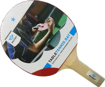 Image de Chauve-souris de ping-pong