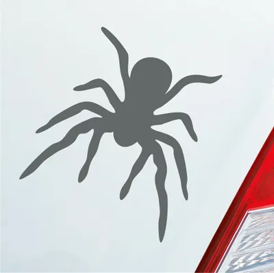 Produktbild von Auto Aufkleber Spinne Spider giftig Tier Ekel 10x10,5 cm Grau Sticker Heckscheibenaufkleber