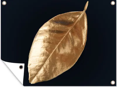 Produktbild von MuchoWow® 40x30 cm Outdoor-Poster Gartendeko Sichtschutz Garten Poster für den Garten  Blätter - Schwarz und Gold - Luxus - Natur - Pflanzen