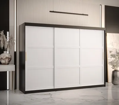 Produktbild von Kleiderschrank RAISA 1 – Breite 250 cm, schwarz / weiß