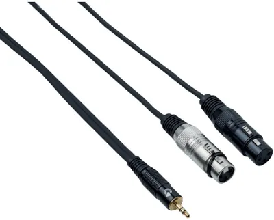 Produktbild von Bespeco EAYMS2FX500 5 m Audiokabel