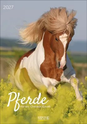Produktbild von Pferde 2027: Wandkalender mit Fotos von Pferden. Format 23,5 x 33,5 cm.
