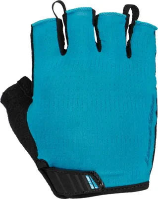 Image de LIZARD SKINS AAP40009 - Aramus Apex - Polar Blue - Medium