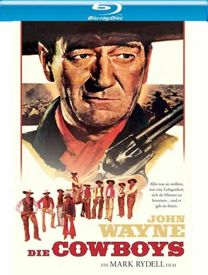 Produktbild von Die Cowboys