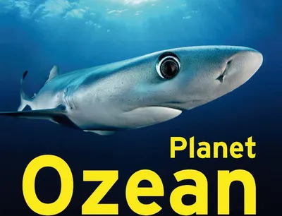 Produktbild von Planet Ozean