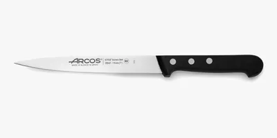 Immagine prodotto di Coltello da sogliola Arcos Universal 284204 in acciaio Nitrum, con mango in poliossimetilene e lama da 17 cm in astuccio.
