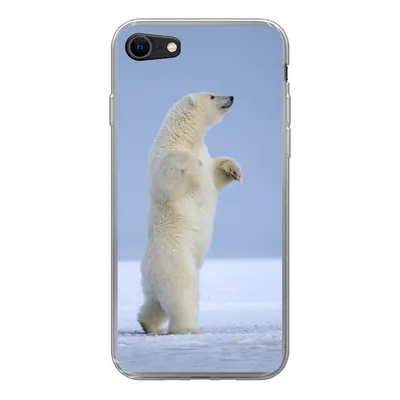 Produktbild von MuchoWow® Handyhülle Schutzhülle Hülle für iPhone SE 2020 Eisbär - Lustig - Schnee - Kinder - Jungen - Mädchen - Kind Silikon Softcase Handy Hülle - Kartenbesitzer