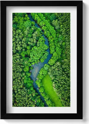 Produktbild von Fluss im Wald– Wandbild mit Rahmen – Gerahmtes Bild  – Wanddekoration – 20x30 cm – Schwarz