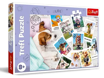 Produktbild von Trefl 23003, 300 Stück(e), Tiere, 8 Jahr(e)