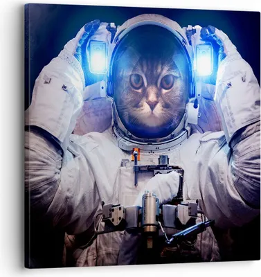 Produktbild von Bild auf Leinwand - Leinwandbild - Kosmonaut Katze - 30x30cm - Wand Bild - Wanddeko - Wandbilder - Leinwanddruck - Bilder - Kunstdruck - Wanddekoration - Leinwand bilder - Wandkunst - AC30x30-3734
