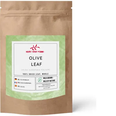 Produktbild von Herbs from Poland Olivenblätter – Unterstützt Immunsystem & Blutdruck, Antioxidativ, 100% Natürlich – 1000g