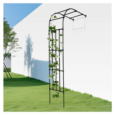 Produktbild von Halbrunder Rosenbogen, verzinkter Metallgartenbogen für Kletterpflanzen (Schwarz, 120 * 50 * 260cm)