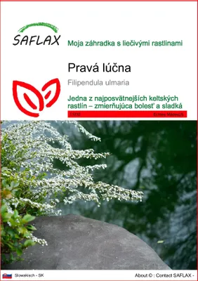 Obrázok produktu pre SAFLAX - Pravá lúčna - Filipendula ulmaria - 500 Semená