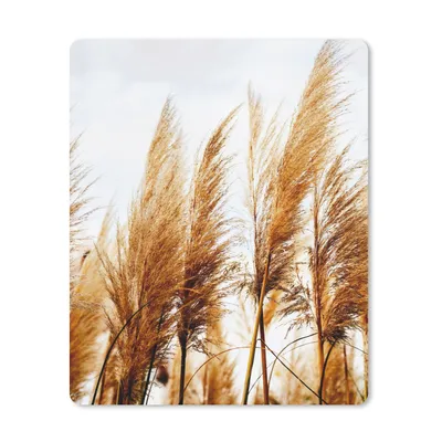 Produktbild von MuchoWow® Mauspad Mousepad Pampasgras - Sonne - Gras 30x40 cm - Mousepads - Maus Mat - Pad - Mausunterlage - Mausmatten