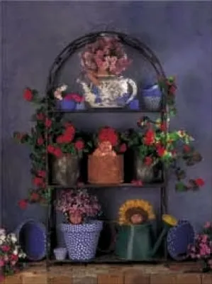 Produktbild von Anne Geddes - Pflänzchen